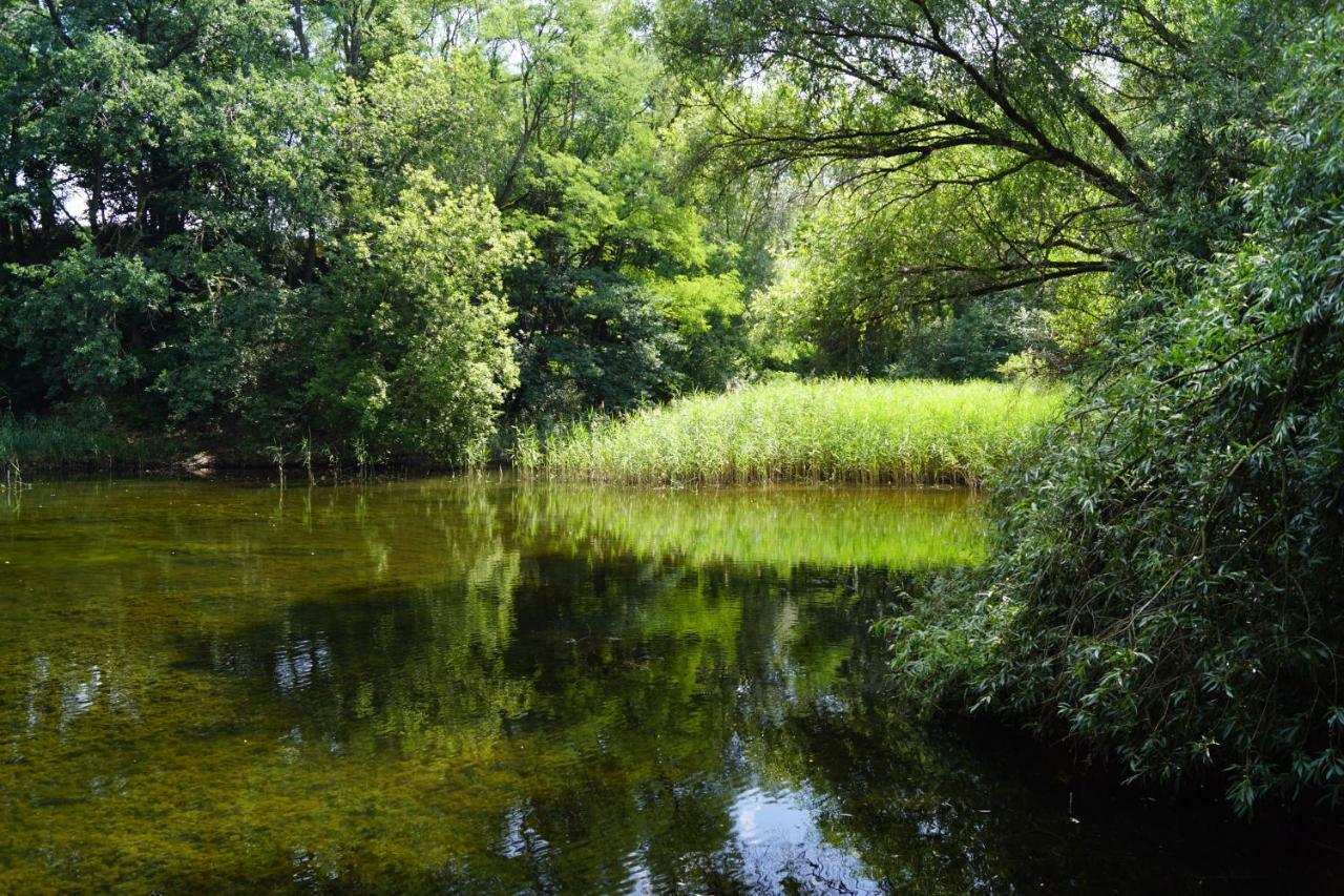 Ferienwohnung Rehagen Sued Am Mellensee Exteriör bild